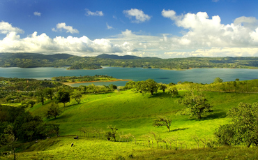 Partner Insight: Four reasons to invest in natural capital - american banking news Partner Insight: Four reasons to invest in natural capital