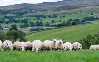 It is a 'scary time' to be a farmer in Wales