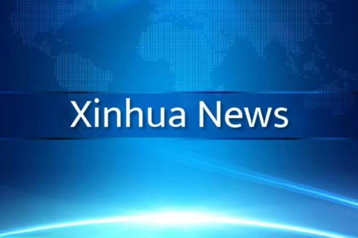 Update: China firmly opposes Japan's dangerous moves in cyber field
