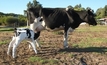 New auto-fetching technologies beckon for dairy farmers