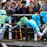 InPics | Humanoid robots stage fighting session at 8th CIIE