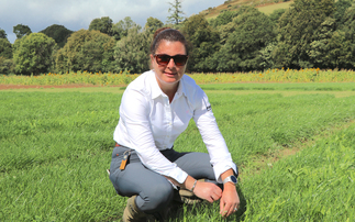 Careful planning needed before spring grassland work