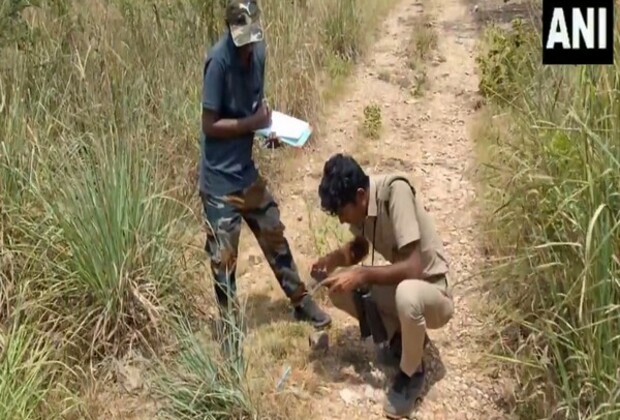 Tamil Nadu: Tiger census begins at Kalakad Mundanthurai Tiger Reserve in Tirunelveli