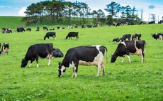 Farmers turn to crowdfunding as record summer hits feed supplies