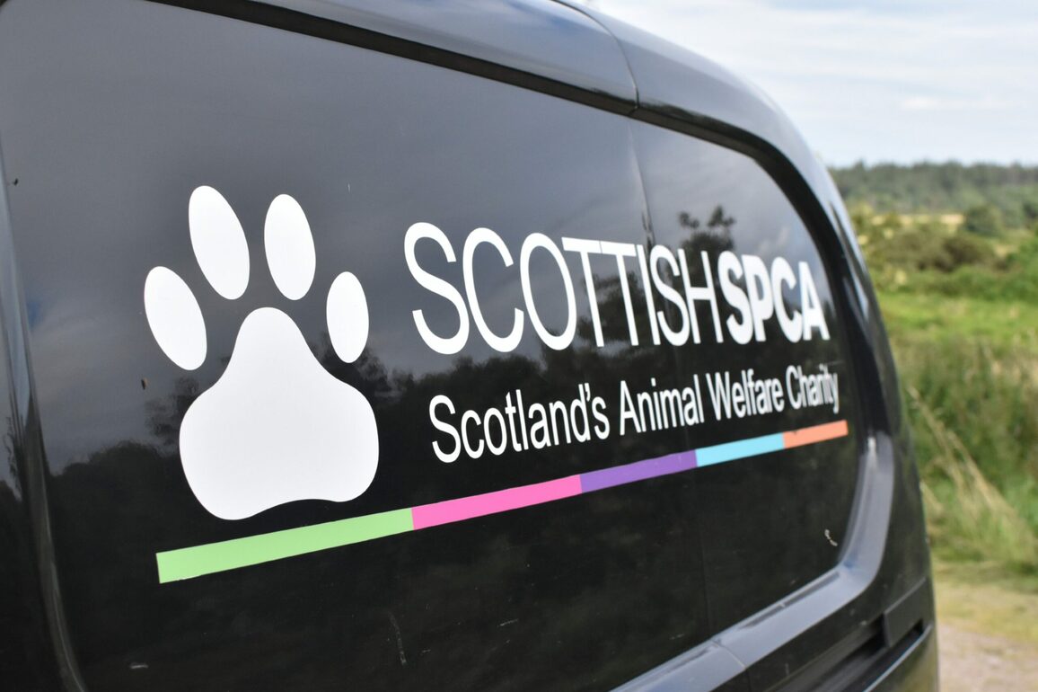 SSPCA- Body of dog discovered in Seaton area of Aberdeen
