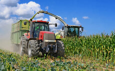 Partner Insight: How to make high-quality maize silage