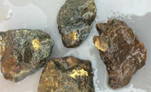 Novo, thanks to its gold nuggets, has been a market darling in recent months