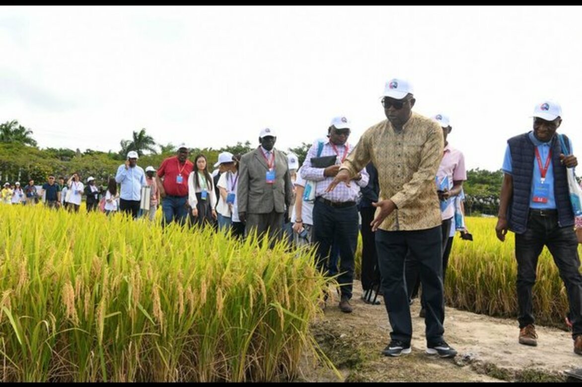 China strengthens agricultural research collaboration with Africa