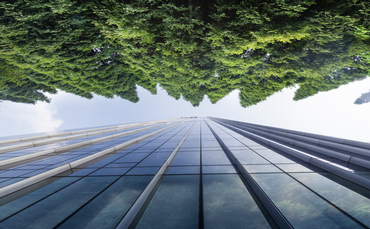 TNFD publishes guide to help CFOs ask 'better questions' on nature risks