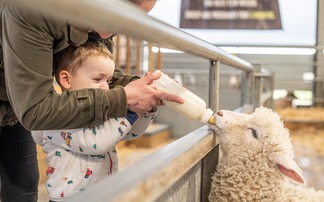 Lambing events: Safety needs to be the priority