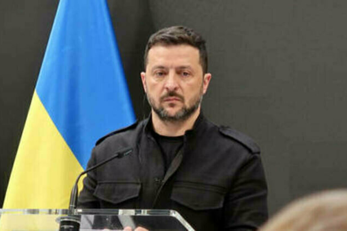Ukraine ready for immediate ceasefire - Zelensky