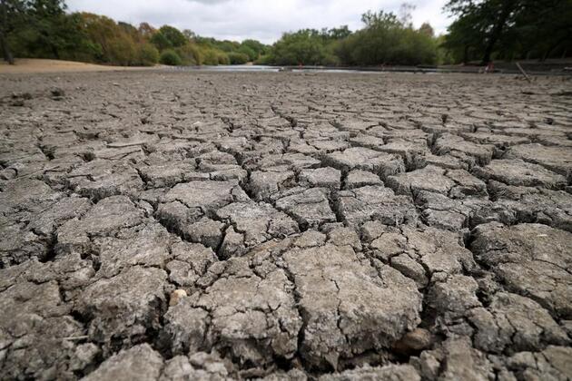 Heatwaves, drought put European agriculture under mounting pressure