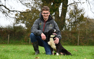 Under-30 and on his way to the top: A Welsh hill farmer's sheepdog success