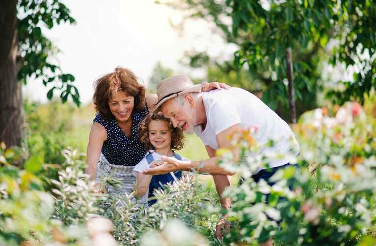 Business Relief demystified: a simple way to reduce IHT