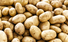Disease, cost and policy are keeping confidence low among potato growers