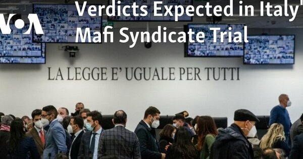 Api Mafi Verdicts Expected in Italy's Mafi Syndicate Trial