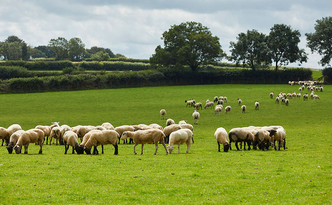 Working conditions hitting farmer mental health