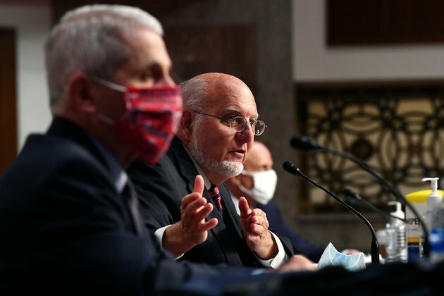 Top US Health Officials Testify on White House COVID Response