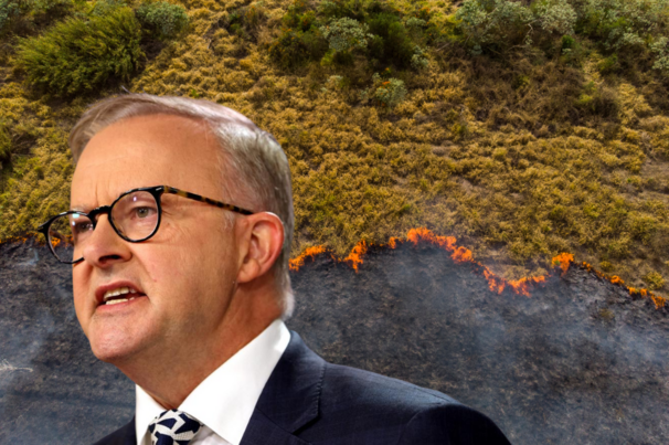 Australians back strong 2035 climate target