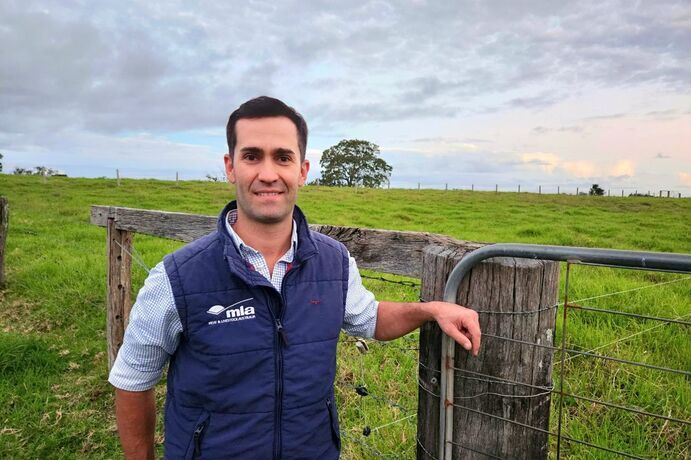 MLA adoption southern & western production systems project manager, Mitch Plumbe, said the BulkUp program aimed to give producers information needed to make big, impactful management decisions, rather than remaining stuck on day-to-day tasks.