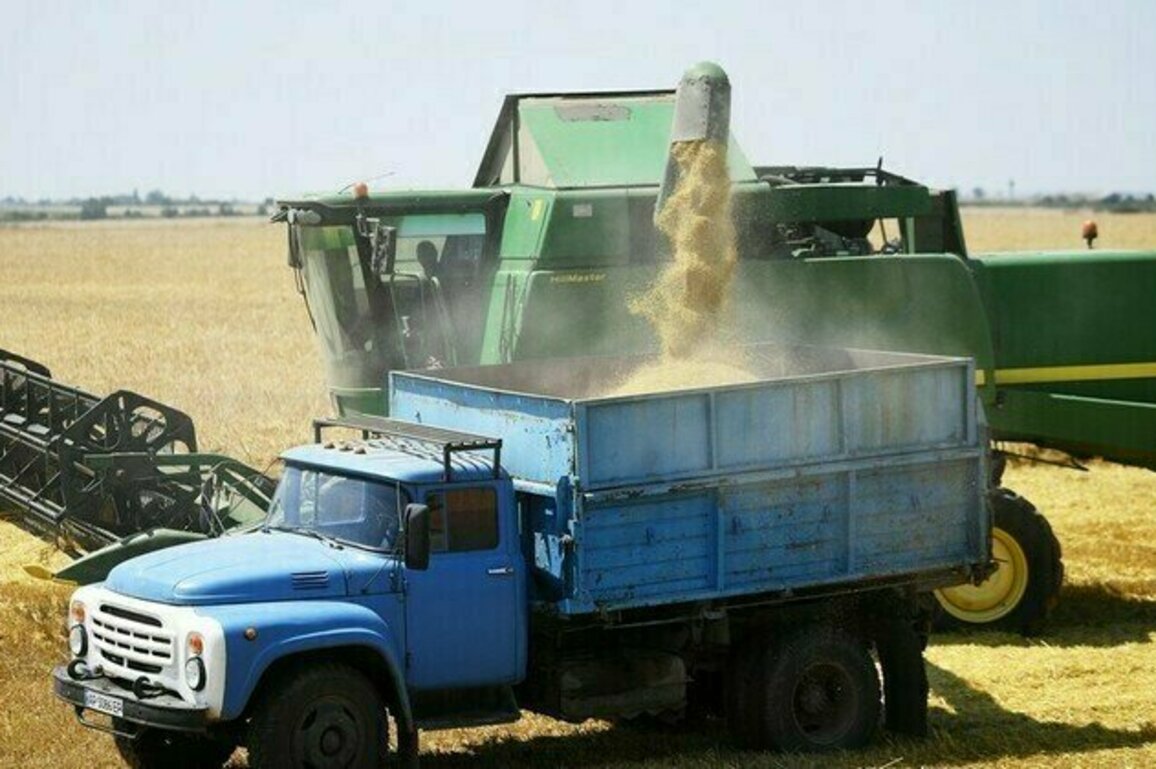 Russia boosts wheat exports to Africa as France loses ground