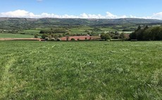 Contract dairying agreements: Can they be a win-win?