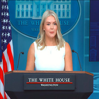 Media has been "actively rooting" against Trump's peace efforts: White House