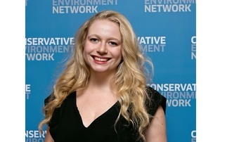 If the government wants to unleash clean energy, it should learn from the Tories