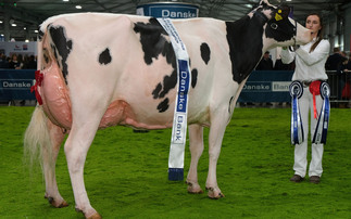 Hallow Holsteins secure seventh Royal Ulster Winter Fair inter-breed championship