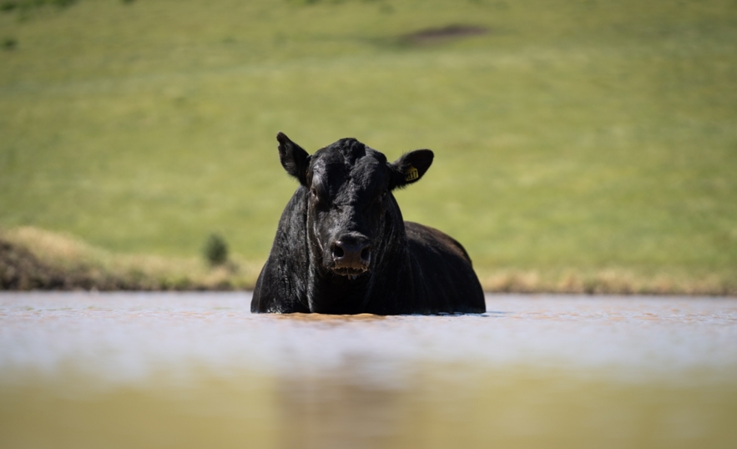Recent research has highlighted the agricultural sector as among the most heat-exposed industries in Australia.