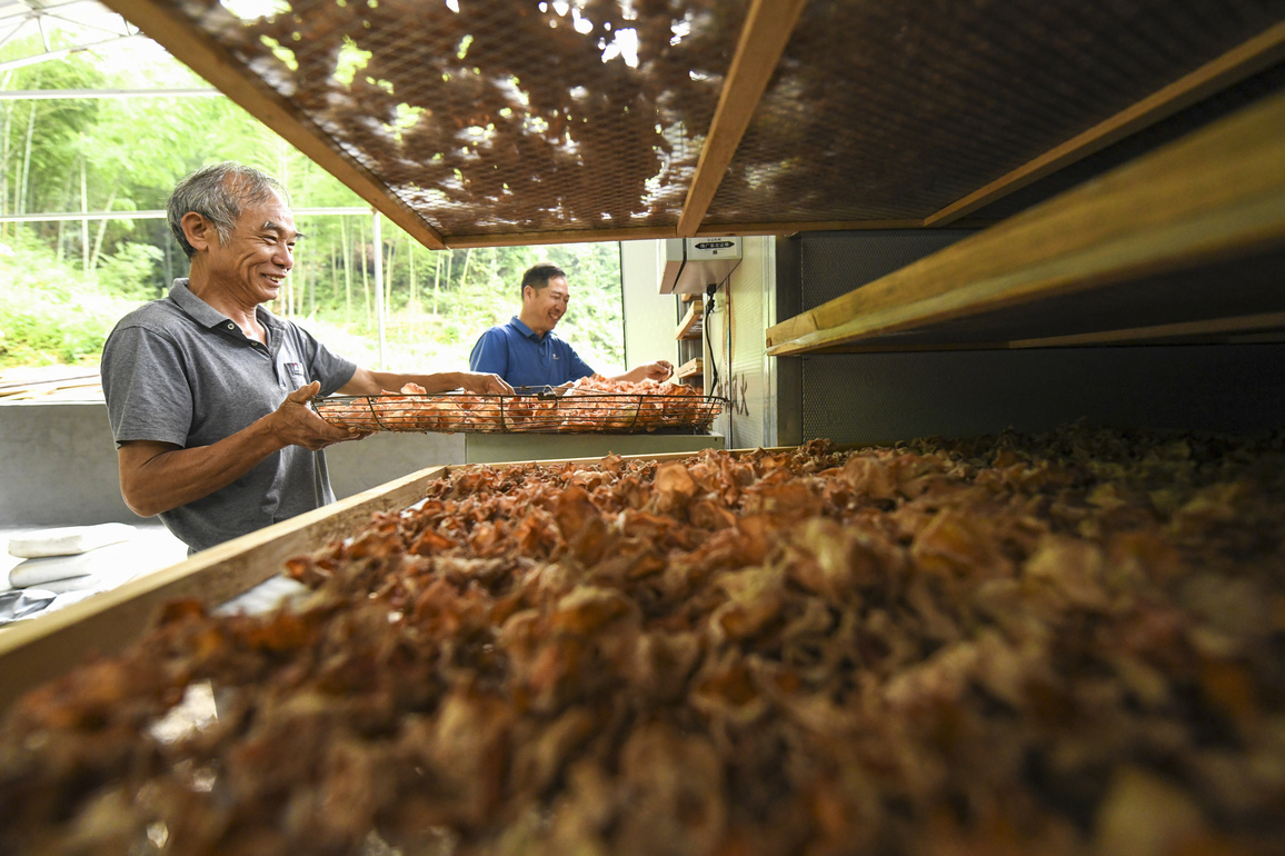 CHINA-HUNAN-YONGZHOU-UNDER-FOREST ECONOMY (CN)