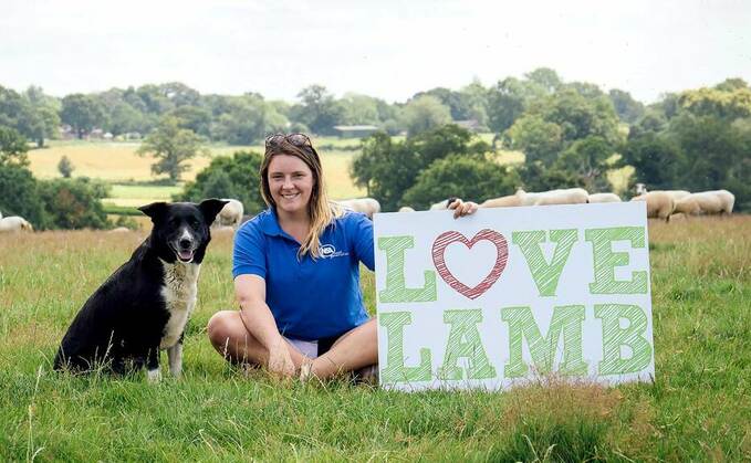Search is on for the face of Love Lamb Week