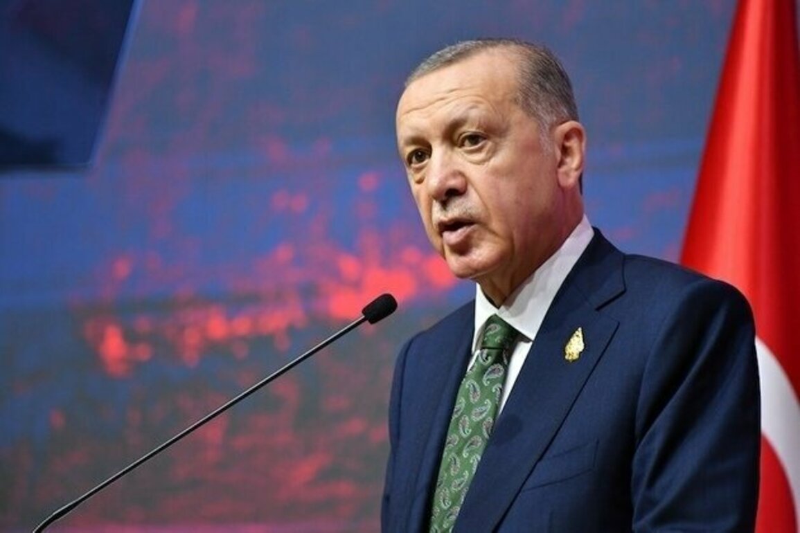 Erdoans Foreign Policy: Strategy Without Doctrine
