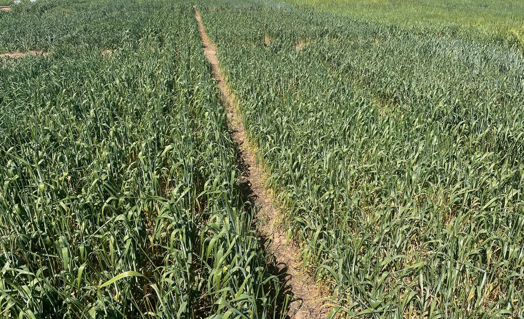 Aussie farm research is showing a significant return on investment, according to a new ABARES report.