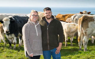 Passion for British Blue cattle shines through