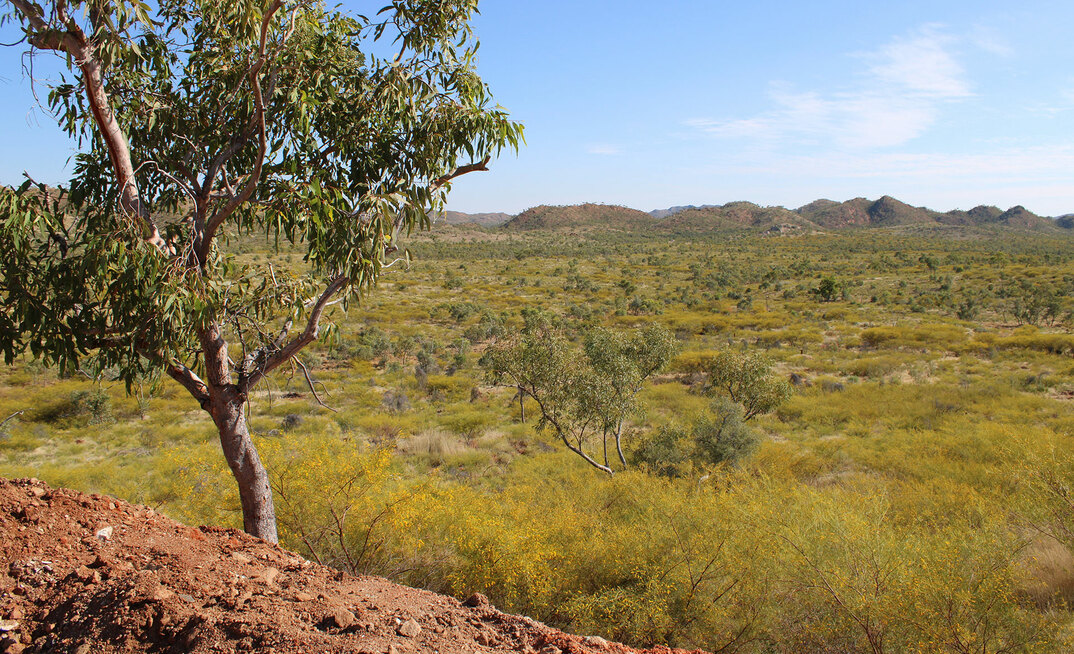 Carnaby confirms Trekelano bolt-on and Glencore processing deal