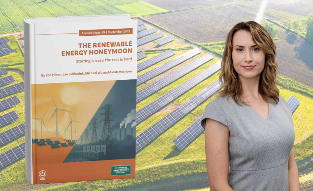 Opinion: The renewables honeymoon is over