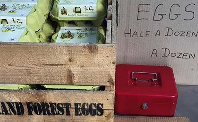 Callous thieves steal farm's honesty box
