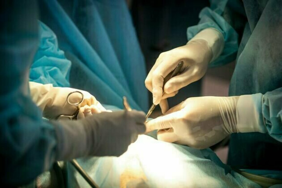 Don't cut them out: lymph nodes may be key to cancer treatment