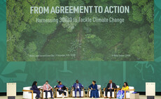 Will COP28 at last unite nature and climate action?