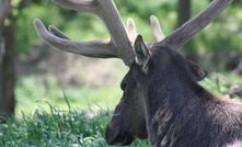 Elk charging forward with its initial Greater Aneth oil field recovery program