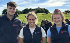 Young farmers give Northern Ireland's dairy industry a boost