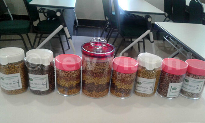 Lack of data affects trading of beans Lack of data affects trading of beans
