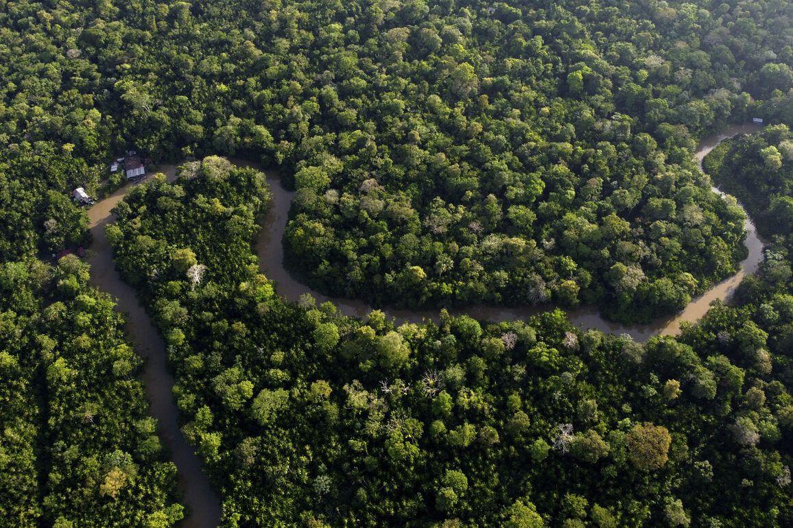 Governors Worldwide Lead The Fight Against Climate Change And Deforestation - Honolulu Civil Beat