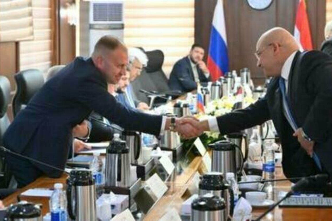 Egypt grants 'unique' terms to Russian companies