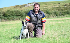 Man's best friend: Sheepdogs prove key to Pembrokeshire sheep system  