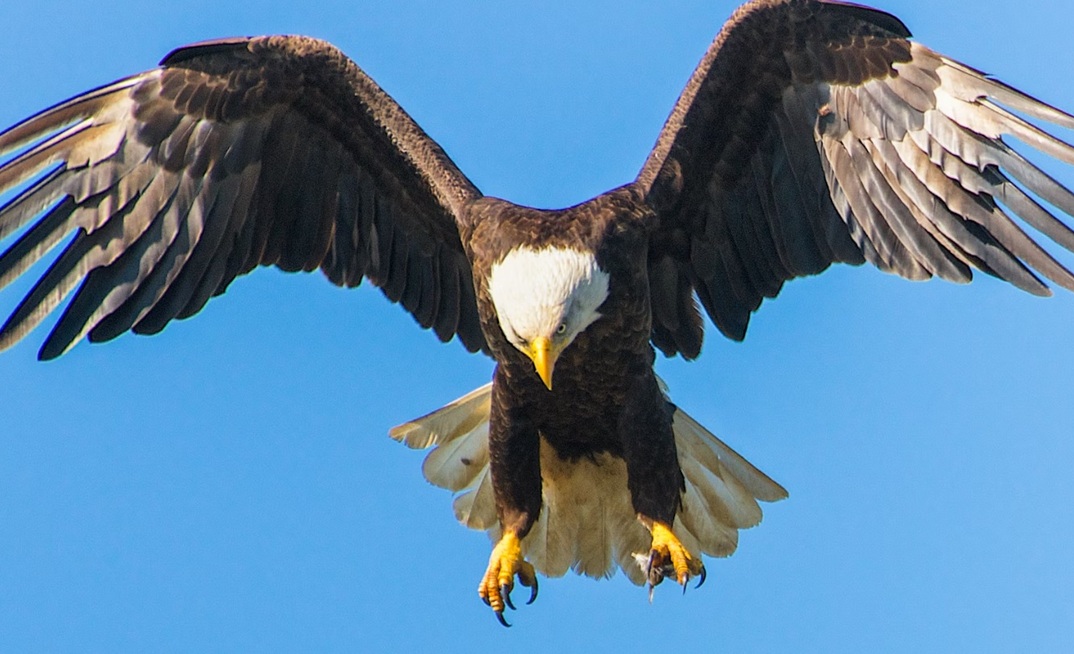 REE stocks all the rage as Australia mulls $1.2B strategic reserve