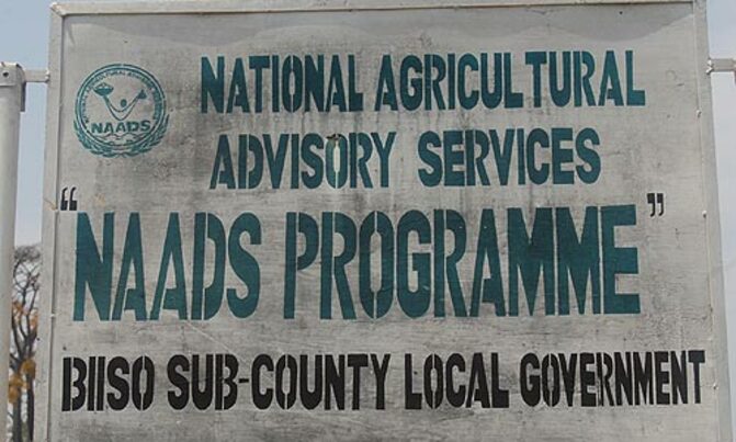 NAADS: UPDF says it's ready to take over from civil servants NAADS: UPDF says it's ready to take over from civil servants