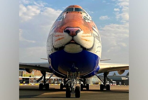 Tiger-faced customised jet reaches Namibia to bring cheetahs to India