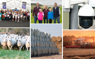 This week's 6 top farming stories